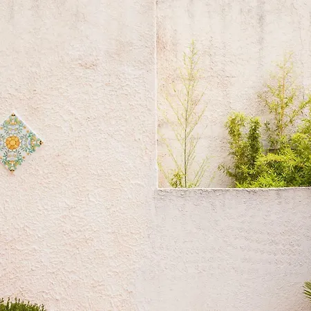 Sole サン・ヴィート・ロ・カーポ